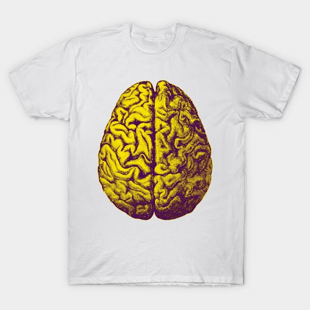 Brain Freeze T-Shirt by AROJA